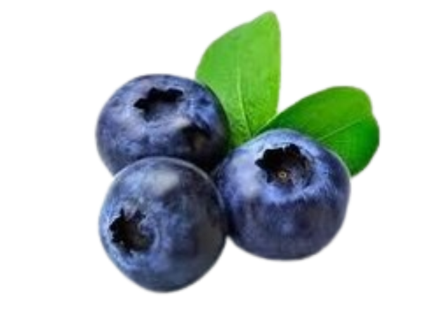 Blueberry