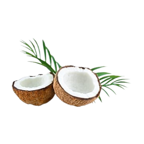 Coconut