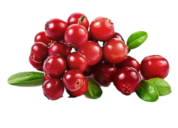 Cranberry