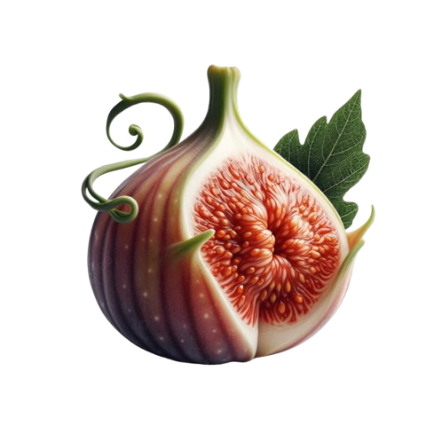 Fig