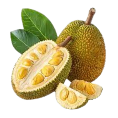 Jackfruit